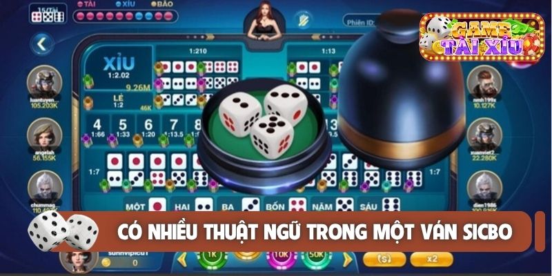 Có nhiều thuật ngữ xuất hiện trong một ván sicbo